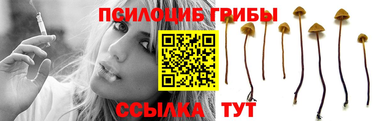 Галлюциногенные грибы ЛСД Кингисепп