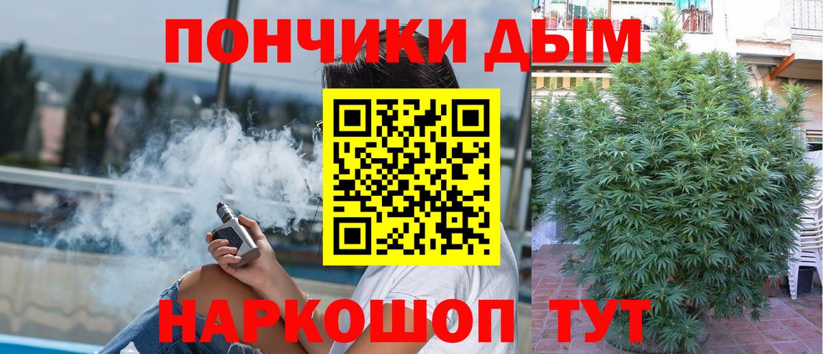 Конопля индика  Конопля White Widow  Шишки марихуана White Widow  Вход с VPN  Кингисепп 